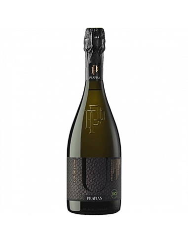 Prapian Biologico Prosecco Extra Dry Valdobbiadene Superiore 