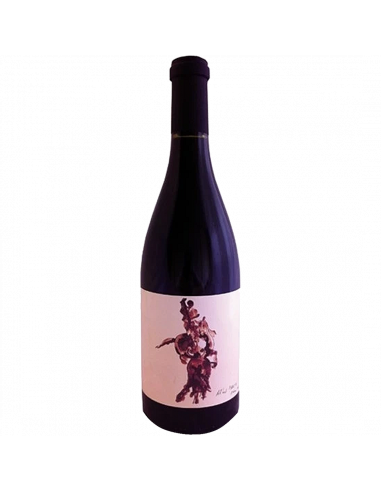 Campuget Syrah La Sommeliere Costieres de Nimes 2020