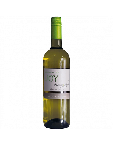 Domaine de Joy Sauvignon Blanc Gros Manseng Cotes de Gascogne 2023