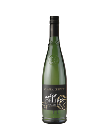 Chateau de Pinet Notes Salines Picpoul de Pinet 2023