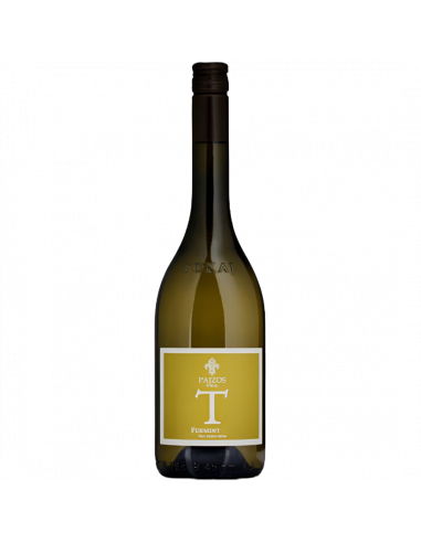 Chateau Pajzos T Dry Furmint